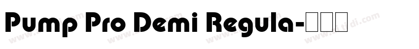 Pump Pro Demi Regula字体转换